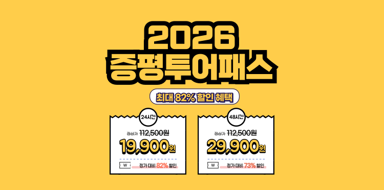 2026 출시안내