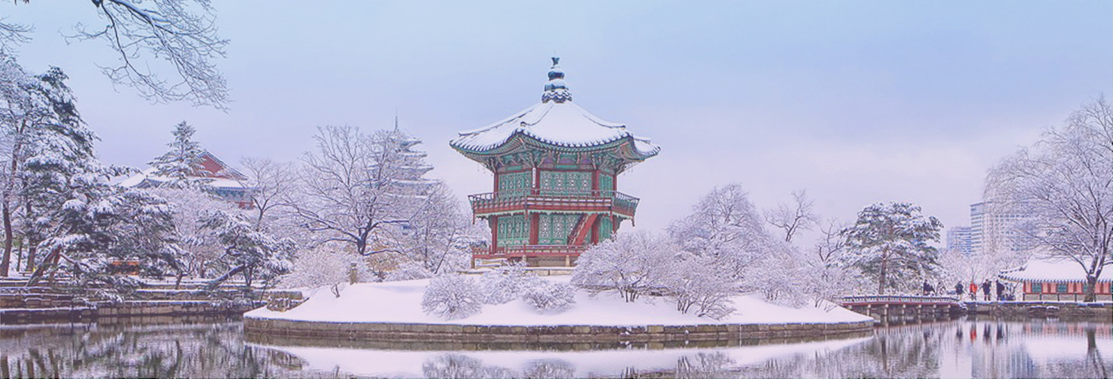 6dfdfeab-wintwe_banner_2