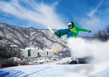 e0c60851-940-Vivaldi-Park-Ski-Board