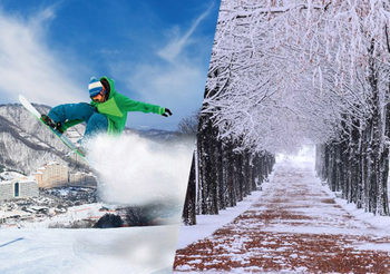 002c11ec-940-Nami-Vivaldi