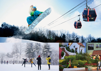 4fa6afca-940-Vivaldi-Park-Ski-Board-Nami-Petite